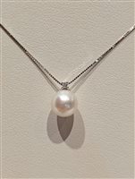 Halskette Davite & Delucchi Dame CLASSIC LINE in Weißgold Perla CLNP11251